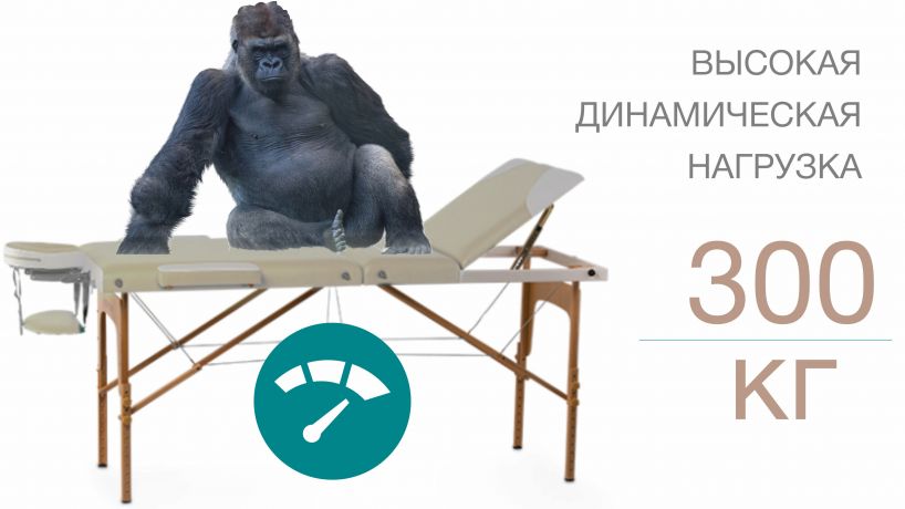 Массажный стол Bodo Thuner